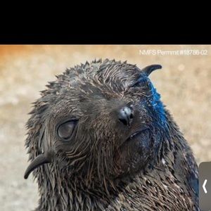 Meet your Posher, Elliea